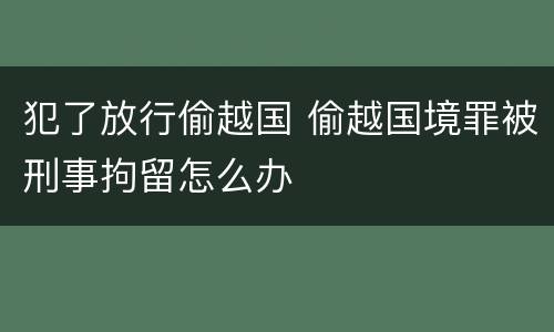 犯了放行偷越国 偷越国境罪被刑事拘留怎么办