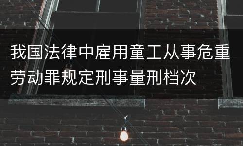 我国法律中雇用童工从事危重劳动罪规定刑事量刑档次