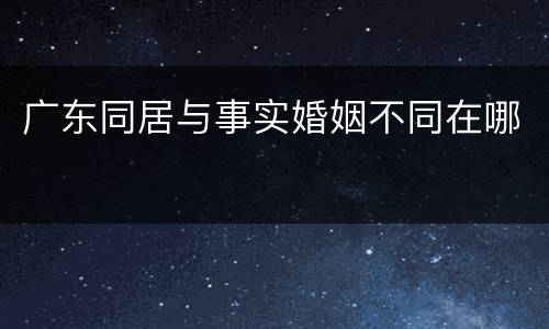 广东同居与事实婚姻不同在哪