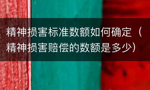 精神损害标准数额如何确定（精神损害赔偿的数额是多少）