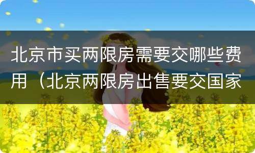 北京市买两限房需要交哪些费用（北京两限房出售要交国家多少钱）