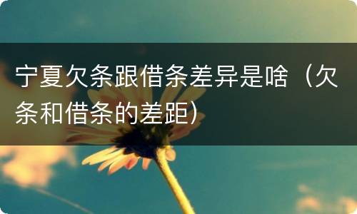 宁夏欠条跟借条差异是啥（欠条和借条的差距）