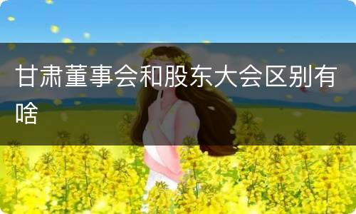 甘肃董事会和股东大会区别有啥