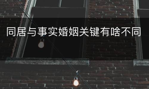 同居与事实婚姻关键有啥不同