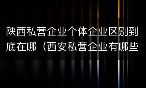 陕西私营企业个体企业区别到底在哪（西安私营企业有哪些）