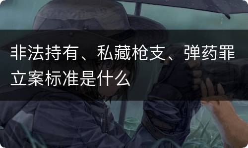 非法持有、私藏枪支、弹药罪立案标准是什么
