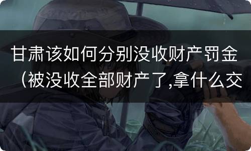 甘肃该如何分别没收财产罚金（被没收全部财产了,拿什么交罚金）