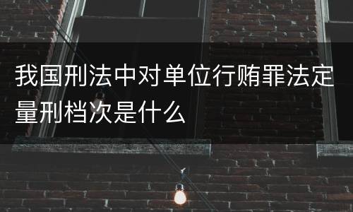 我国刑法中对单位行贿罪法定量刑档次是什么
