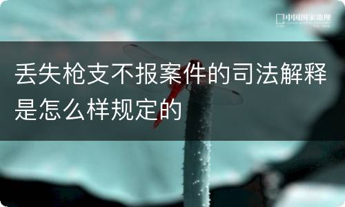 丢失枪支不报案件的司法解释是怎么样规定的