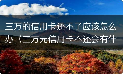 三万的信用卡还不了应该怎么办（三万元信用卡不还会有什么后果）