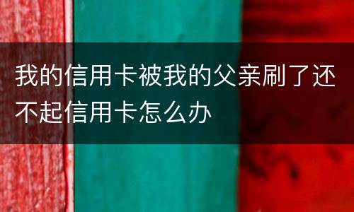 我的信用卡被我的父亲刷了还不起信用卡怎么办