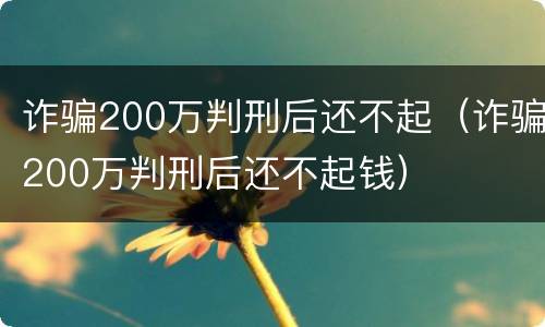 诈骗200万判刑后还不起（诈骗200万判刑后还不起钱）