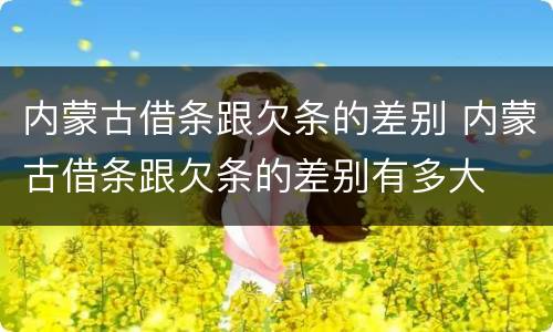内蒙古借条跟欠条的差别 内蒙古借条跟欠条的差别有多大