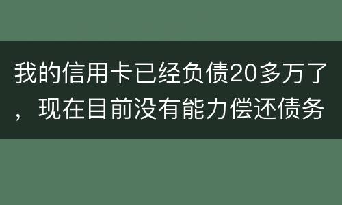 我的信用卡已经负债20多万了，现在目前没有能力偿还债务，请问可以申请破产吗