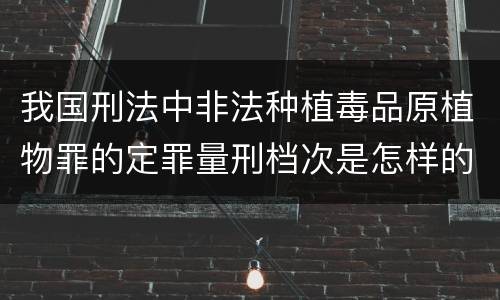 我国刑法中非法种植毒品原植物罪的定罪量刑档次是怎样的