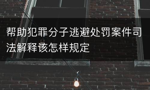 帮助犯罪分子逃避处罚案件司法解释该怎样规定