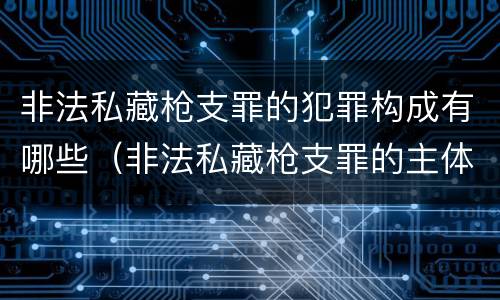 非法私藏枪支罪的犯罪构成有哪些（非法私藏枪支罪的主体）
