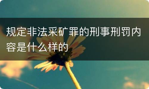 规定非法采矿罪的刑事刑罚内容是什么样的