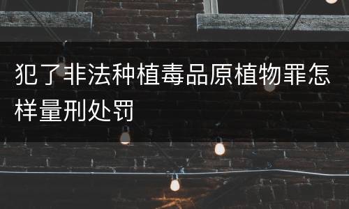 犯了非法种植毒品原植物罪怎样量刑处罚