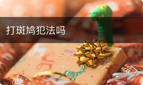 打斑鸠犯法吗