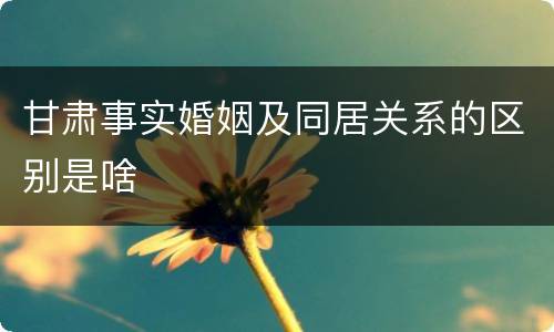 甘肃事实婚姻及同居关系的区别是啥