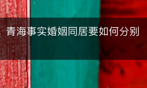 青海事实婚姻同居要如何分别