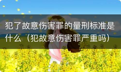 犯了故意伤害罪的量刑标准是什么（犯故意伤害罪严重吗）