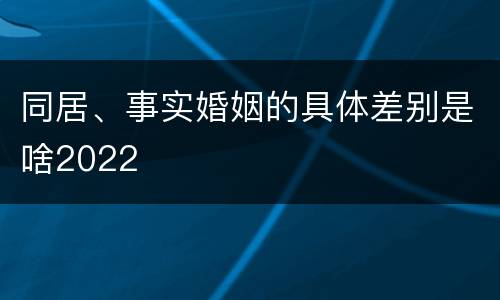 同居、事实婚姻的具体差别是啥2022