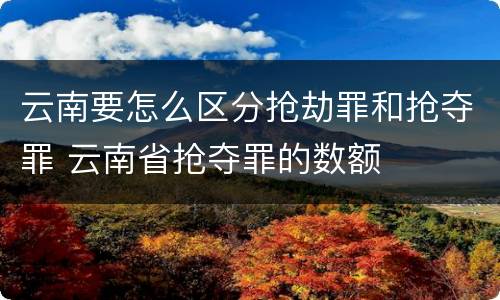 云南要怎么区分抢劫罪和抢夺罪 云南省抢夺罪的数额