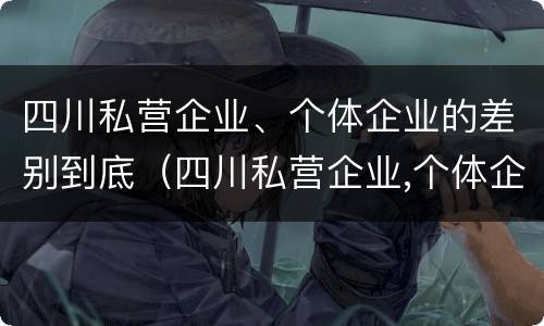 四川私营企业、个体企业的差别到底（四川私营企业,个体企业的差别到底多大）