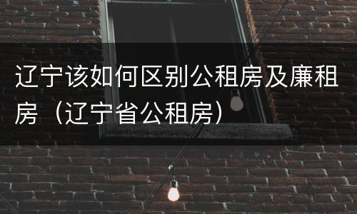辽宁该如何区别公租房及廉租房（辽宁省公租房）