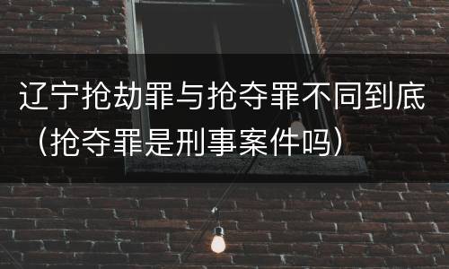 辽宁抢劫罪与抢夺罪不同到底（抢夺罪是刑事案件吗）