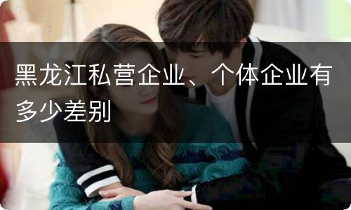 黑龙江私营企业、个体企业有多少差别