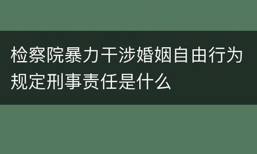 检察院暴力干涉婚姻自由行为规定刑事责任是什么