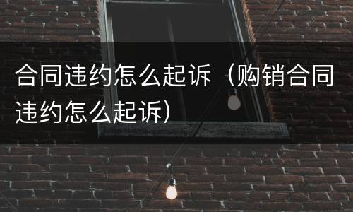合同违约怎么起诉（购销合同违约怎么起诉）