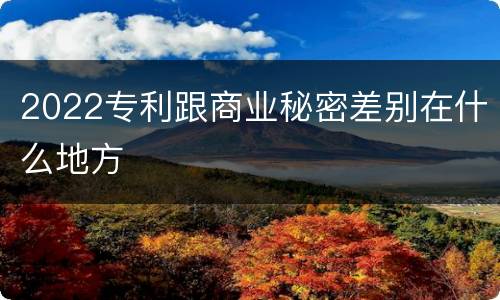 2022专利跟商业秘密差别在什么地方