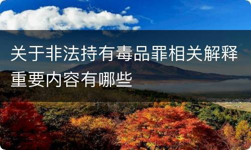 关于非法持有毒品罪相关解释重要内容有哪些