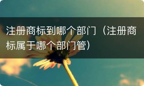 注册商标到哪个部门（注册商标属于哪个部门管）