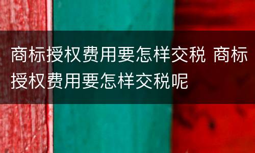 商标授权费用要怎样交税 商标授权费用要怎样交税呢