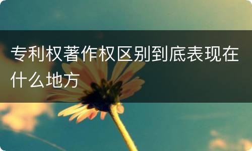 专利权著作权区别到底表现在什么地方