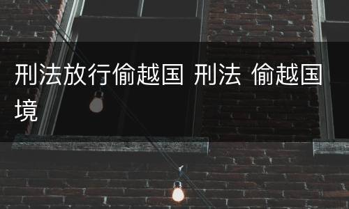 刑法放行偷越国 刑法 偷越国境