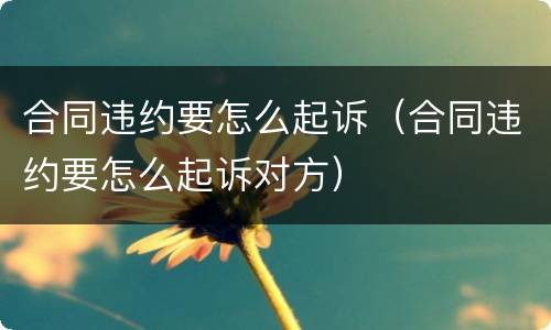 合同违约要怎么起诉（合同违约要怎么起诉对方）
