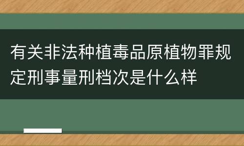 有关非法种植毒品原植物罪规定刑事量刑档次是什么样