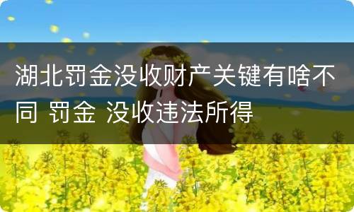 湖北罚金没收财产关键有啥不同 罚金 没收违法所得