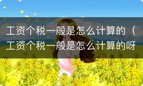 工资个税一般是怎么计算的（工资个税一般是怎么计算的呀）