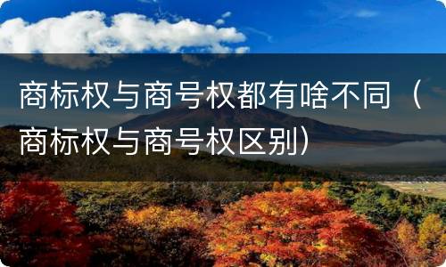 商标权与商号权都有啥不同（商标权与商号权区别）