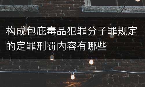 构成包庇毒品犯罪分子罪规定的定罪刑罚内容有哪些