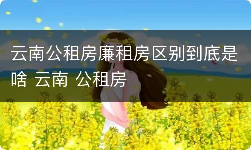 云南公租房廉租房区别到底是啥 云南 公租房