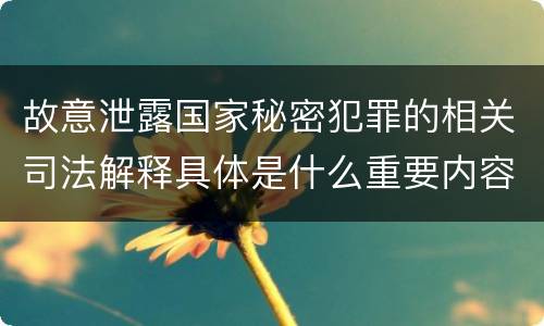 故意泄露国家秘密犯罪的相关司法解释具体是什么重要内容