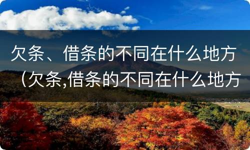 欠条、借条的不同在什么地方（欠条,借条的不同在什么地方写）